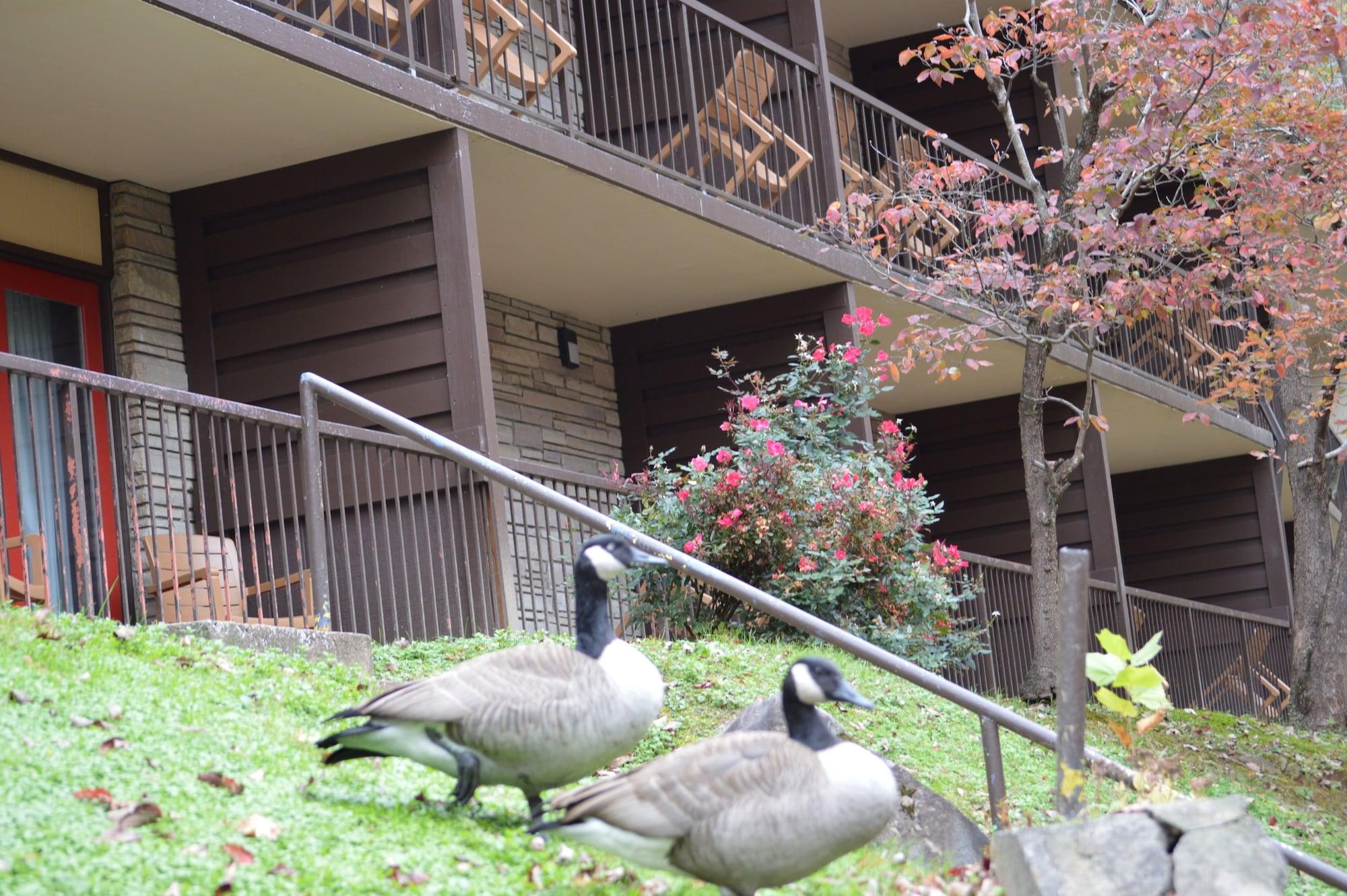 Econo Lodge Inn & Suites On The River Gatlinburg Exterior photo